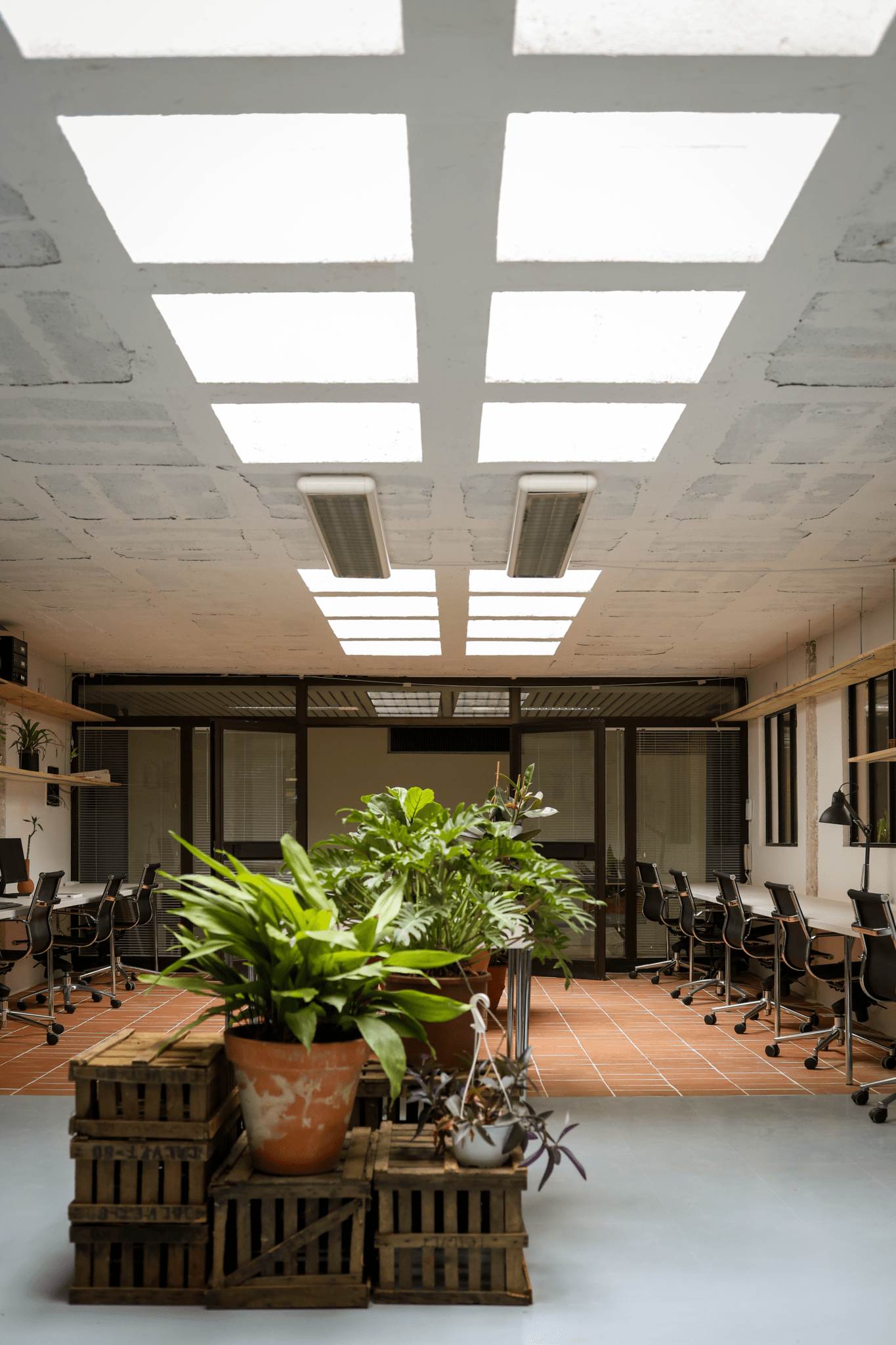 Interior de l’Espai Hivernacle, espai de treball amb llum natural